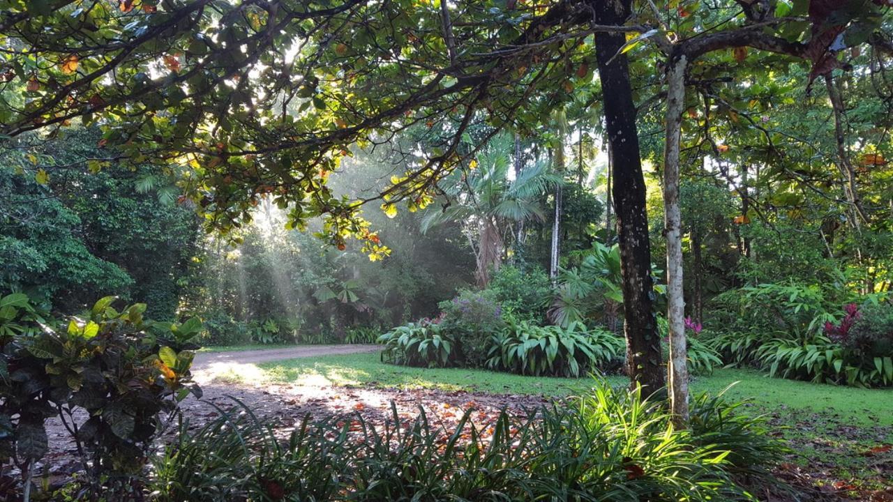 Fanpalm Creek Hideaway Holiday home