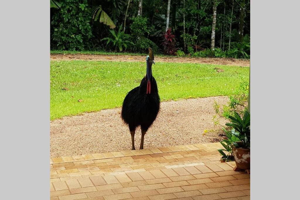 Holiday home Fanpalm Creek Hideaway
